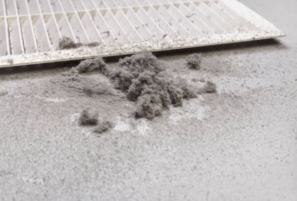 Best Emergency Air Duct Cleaning  in North Hobbs, NM