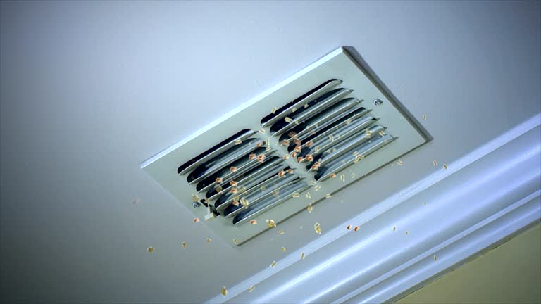 Best Professional Duct Cleaning Services  in North Hobbs, NM